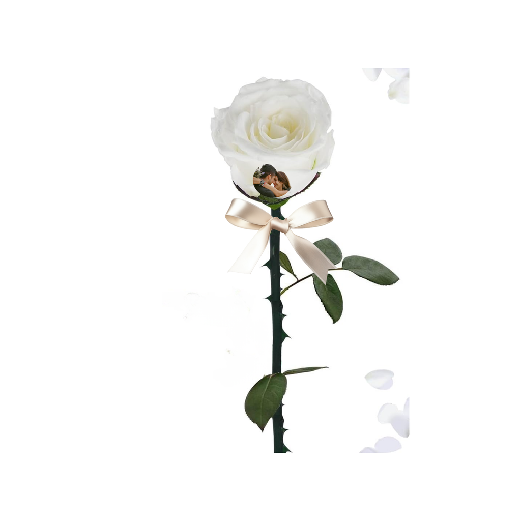 Personalized Preserved Rose with Photo & Message