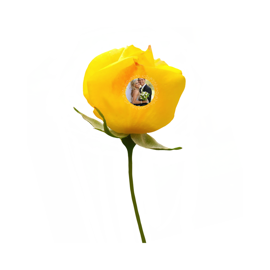 Personalized Preserved Rose with Photo & Message