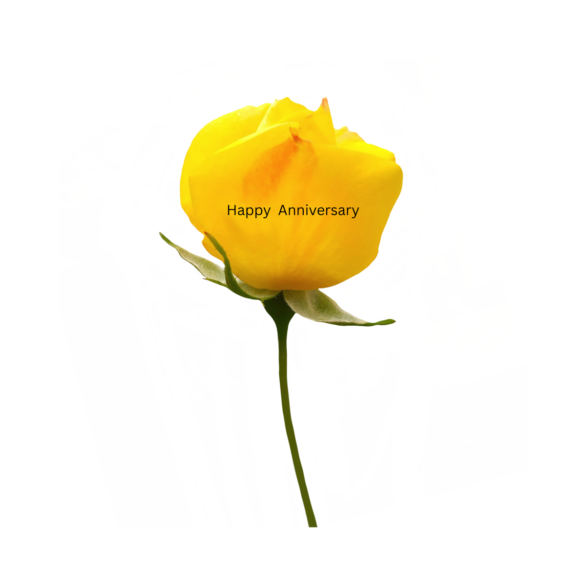 Personalized Preserved Rose with Photo & Message